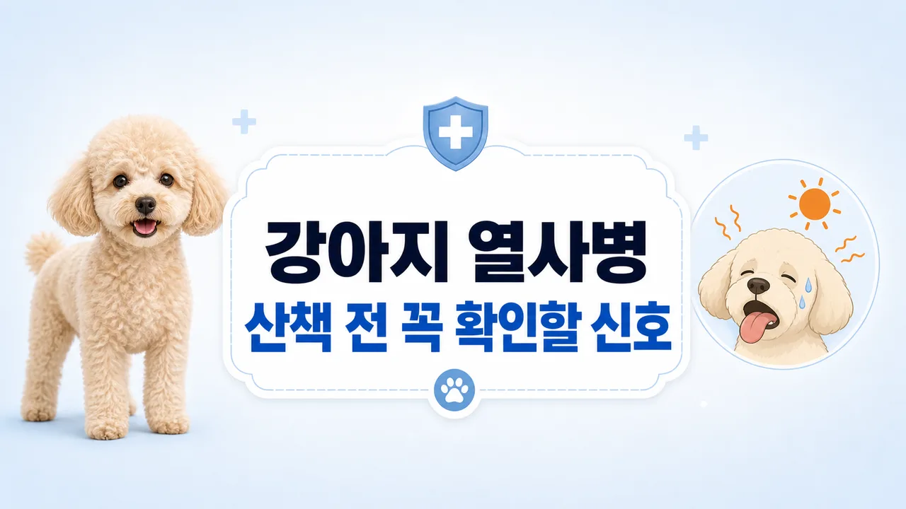 더운 날 이른 아침 그늘진 공원에서 산책하는 강아지