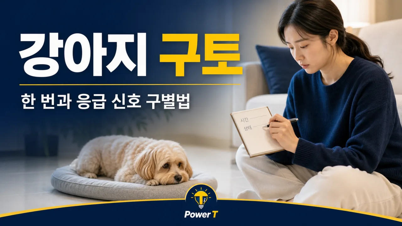 강아지 구토 한 번과 응급 신호 구별법