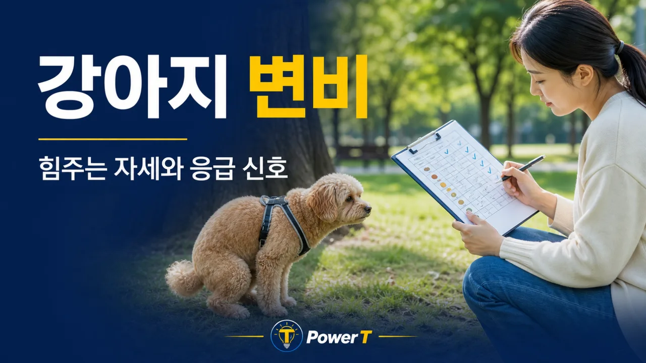 강아지 변비 힘주는 자세와 응급 신호