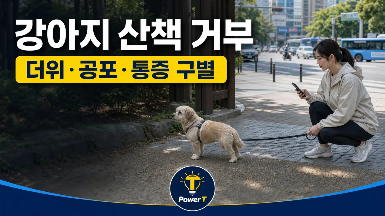 강아지 산책 거부 더위 공포 통증 구별