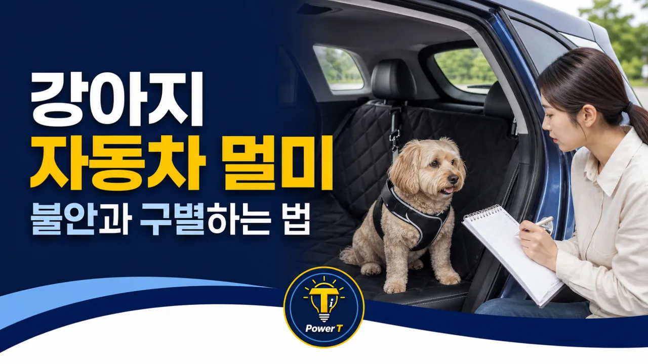 강아지 자동차 멀미와 불안 구별