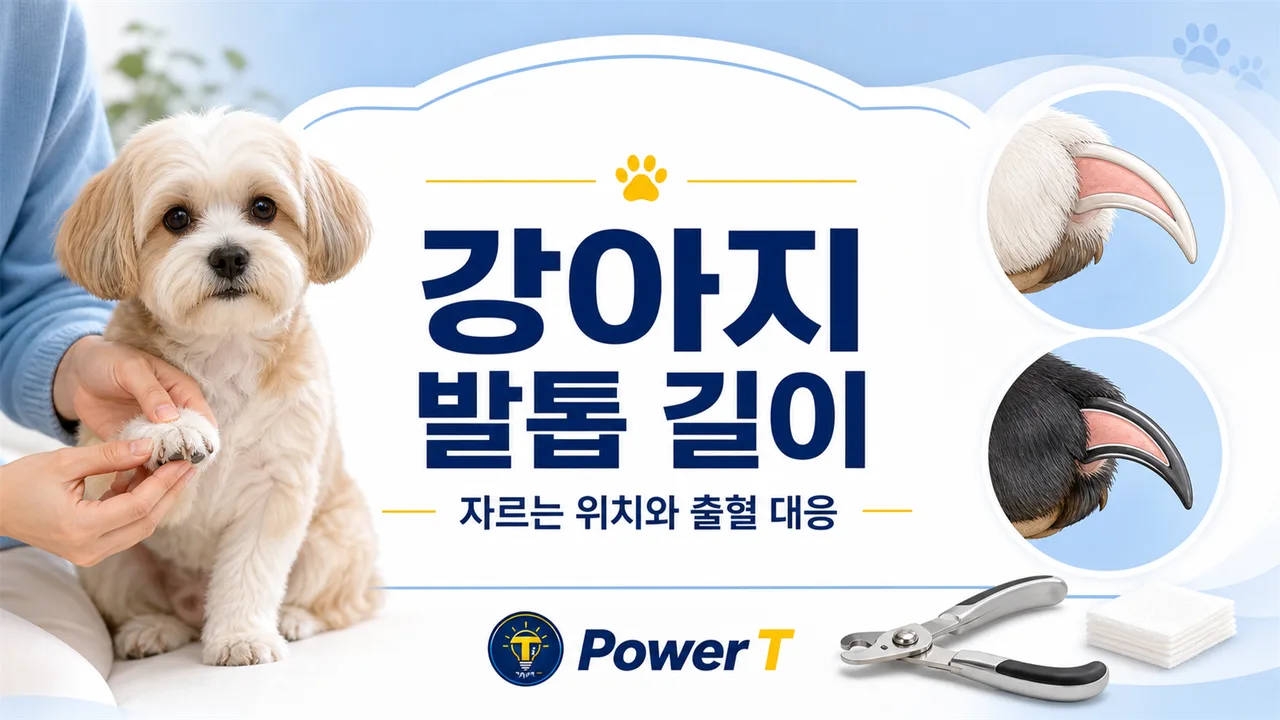 강아지 발톱 길이와 안전한 자르기
