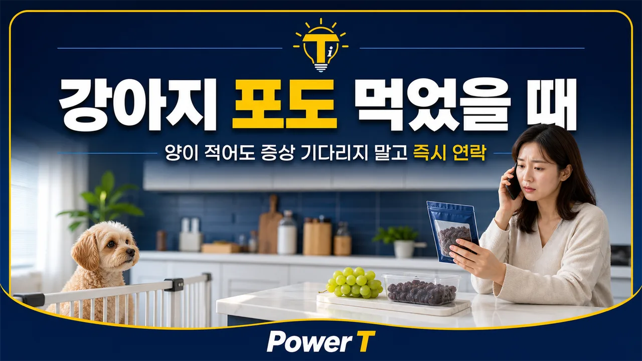 강아지 포도 먹었을 때 즉시 확인할 것 강아지 포도 먹었을 때 즉시 확인할 것