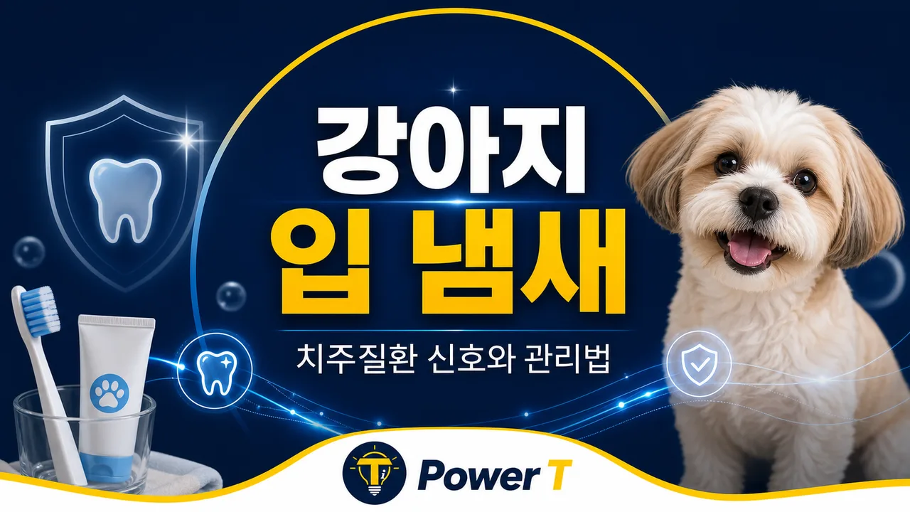 강아지 입 냄새와 치주질환 신호