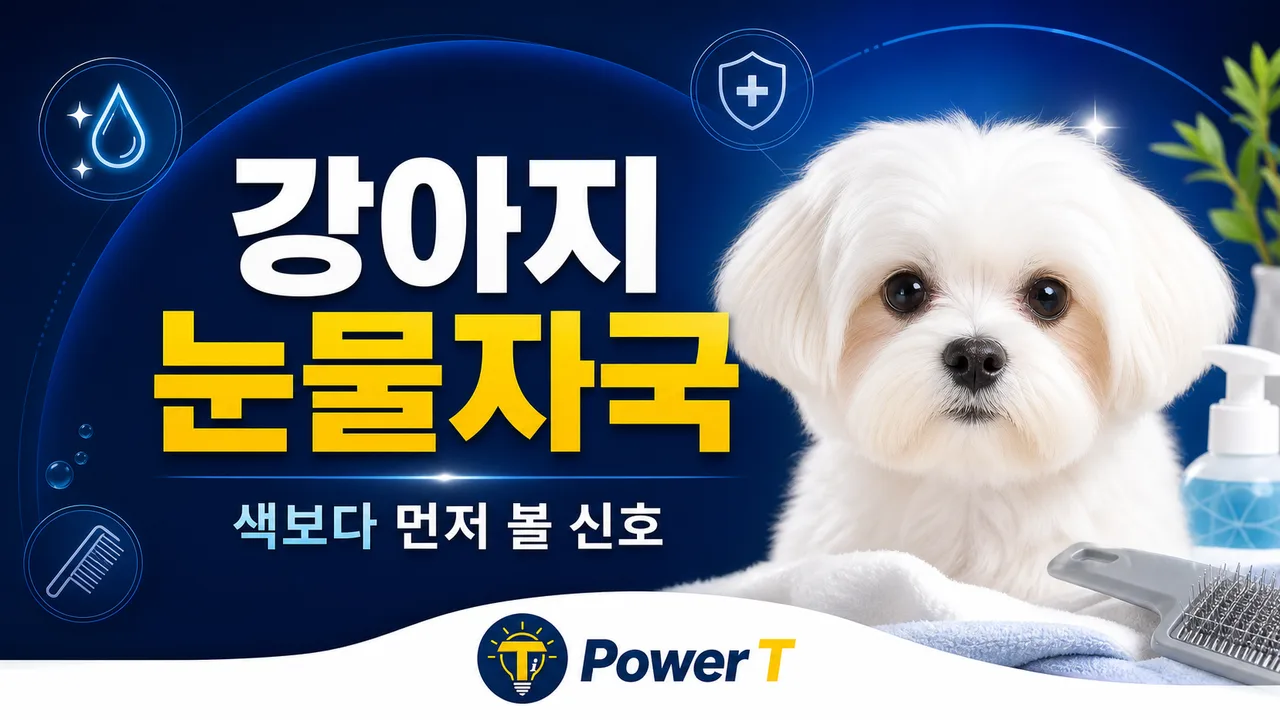 강아지 눈물자국 확인 신호