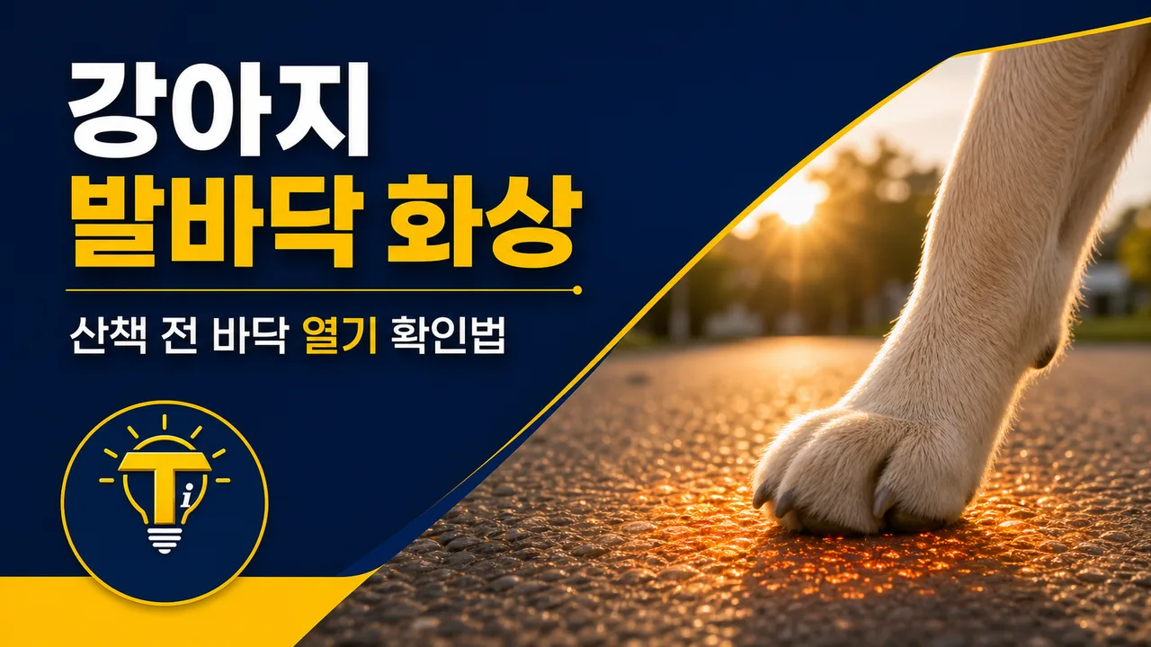 여름철 강아지 발바닥 화상 위험을 확인하는 산책 이미지