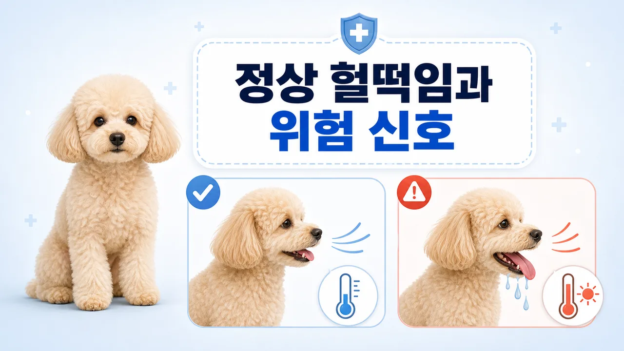 여름 산책 후 그늘에서 물을 마시며 쉬는 반려견