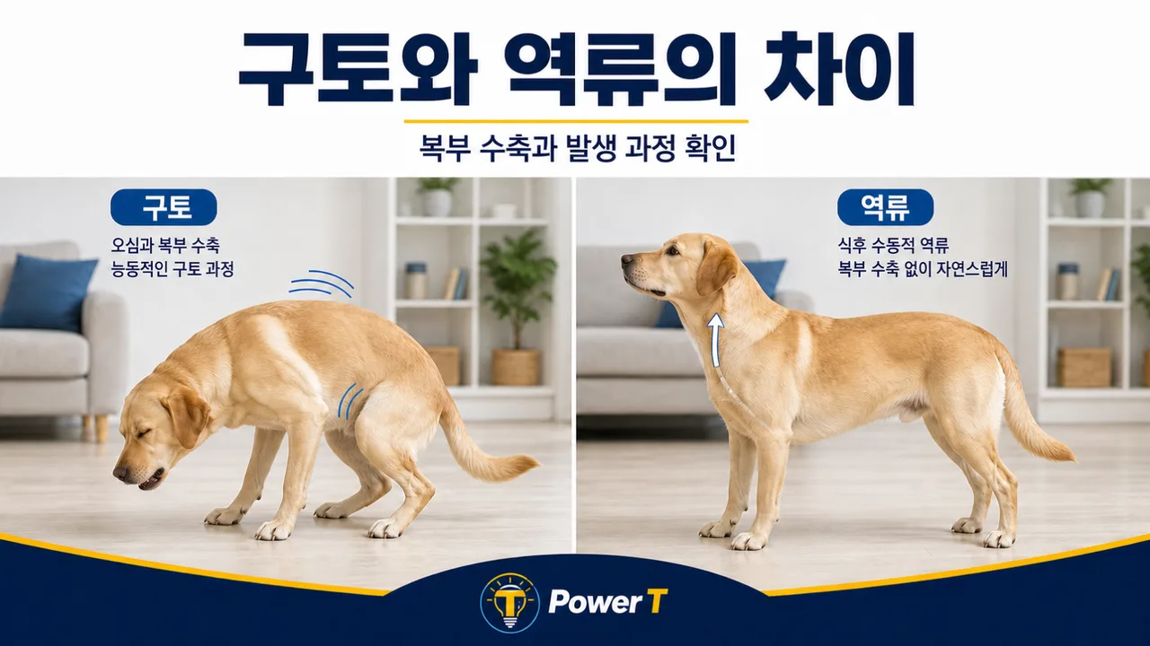강아지 구토와 역류 차이