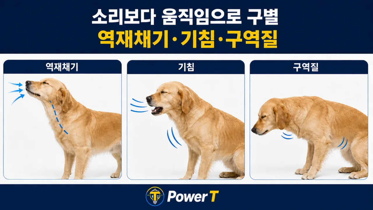 강아지 역재채기 기침 구역질 차이