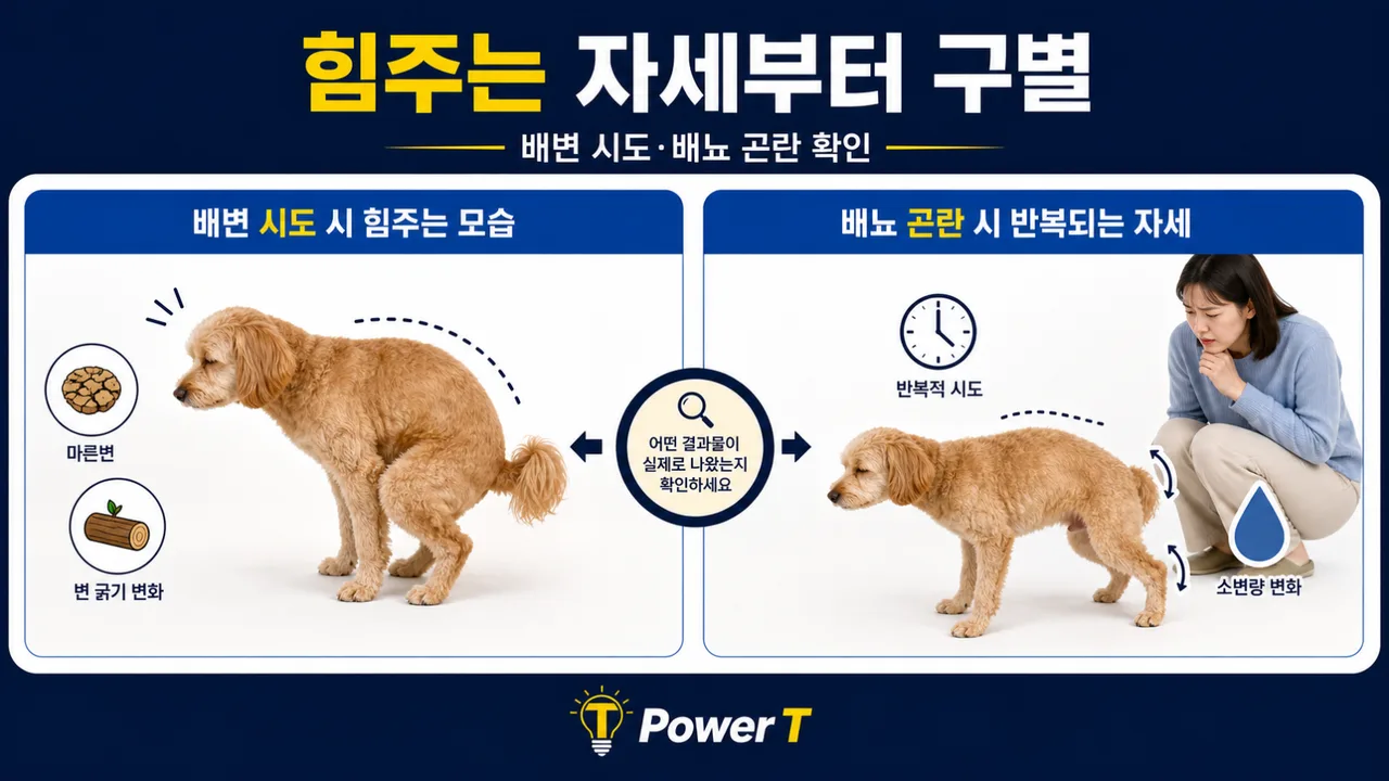 강아지 변비와 배뇨 곤란 구별