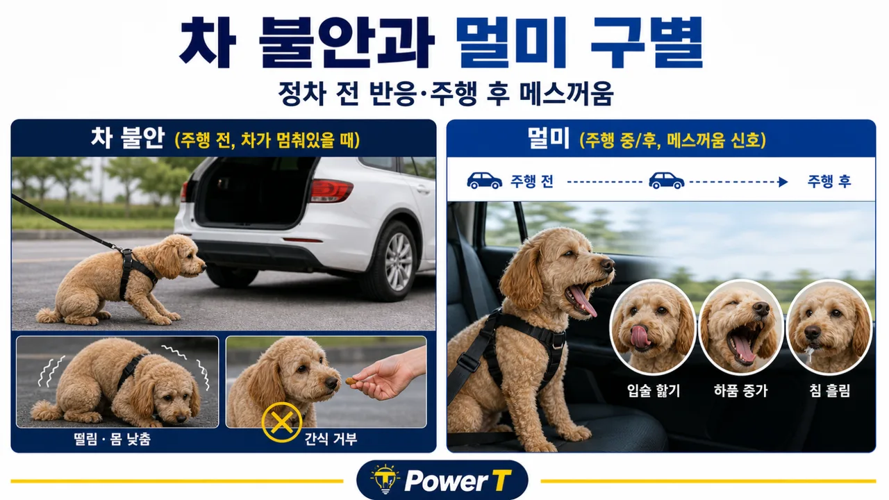 강아지 차 불안과 멀미 차이