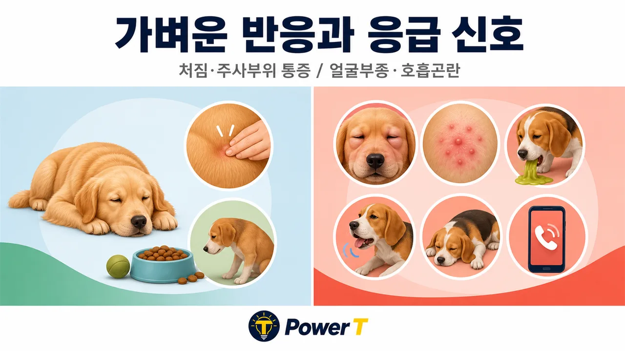 강아지 백신 정상 반응과 응급 반응