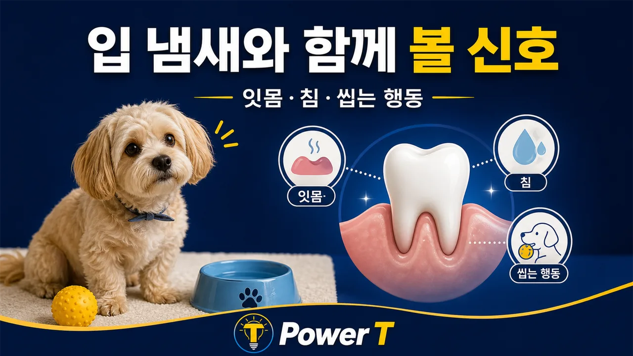 강아지 입 냄새와 함께 볼 구강 신호
