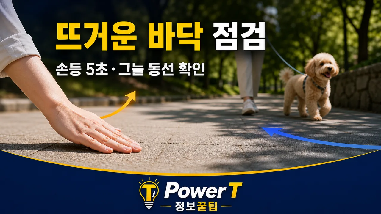 강아지 산책 전 뜨거운 바닥 열기를 확인하는 방법
