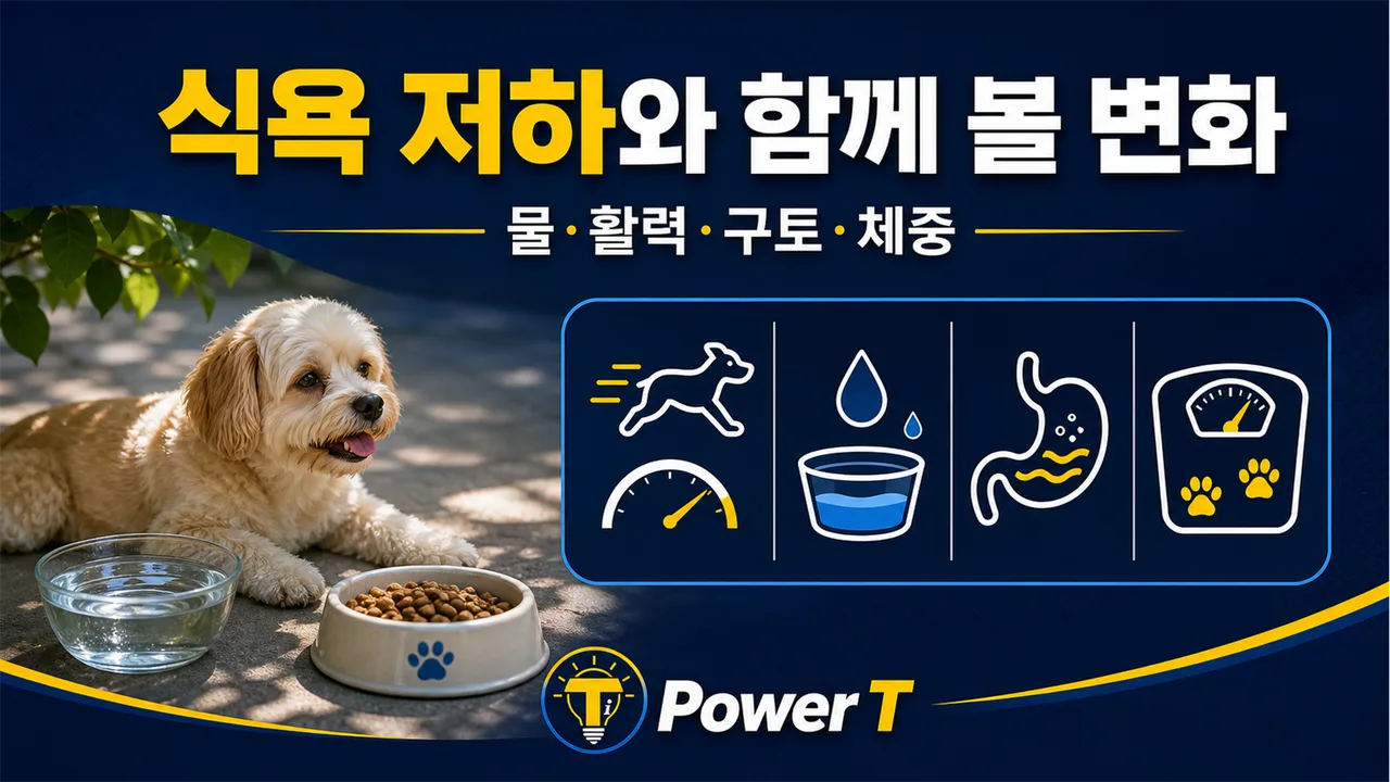 강아지 식욕 저하와 함께 볼 변화