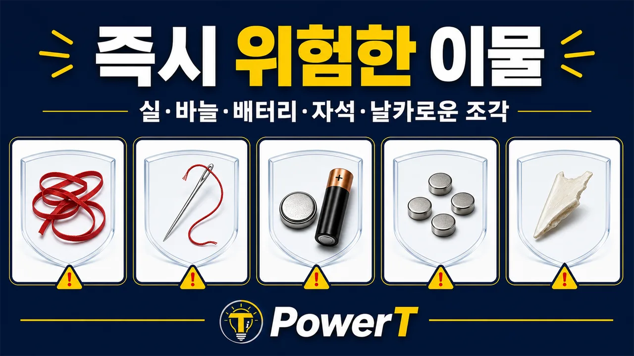 강아지가 삼키면 즉시 평가가 필요한 이물