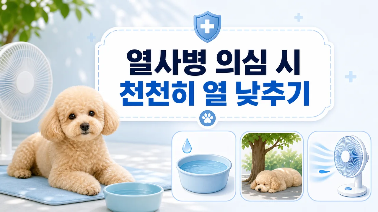 여름철 시원한 실내에서 휴식하는 강아지의 열사병 예방 환경