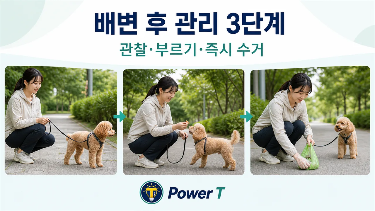 강아지 식분증 처벌 없는 관리법