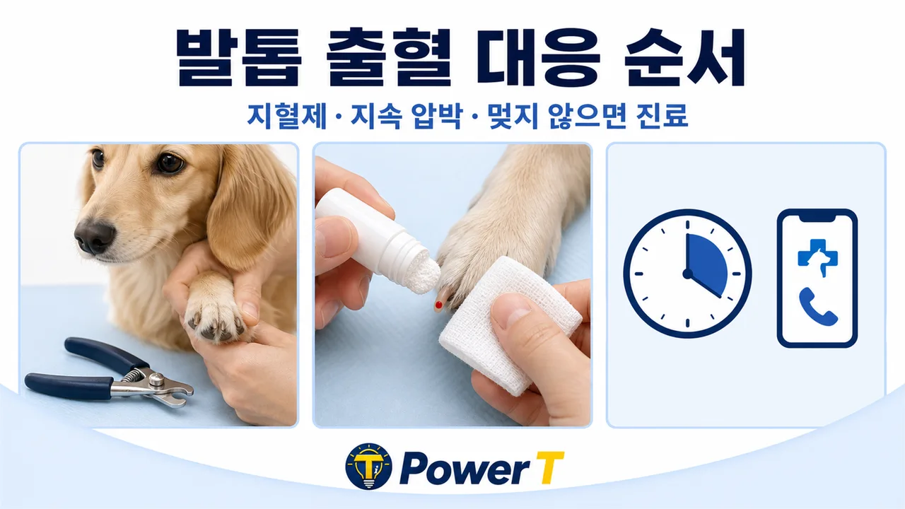 강아지 발톱 피 지혈 방법