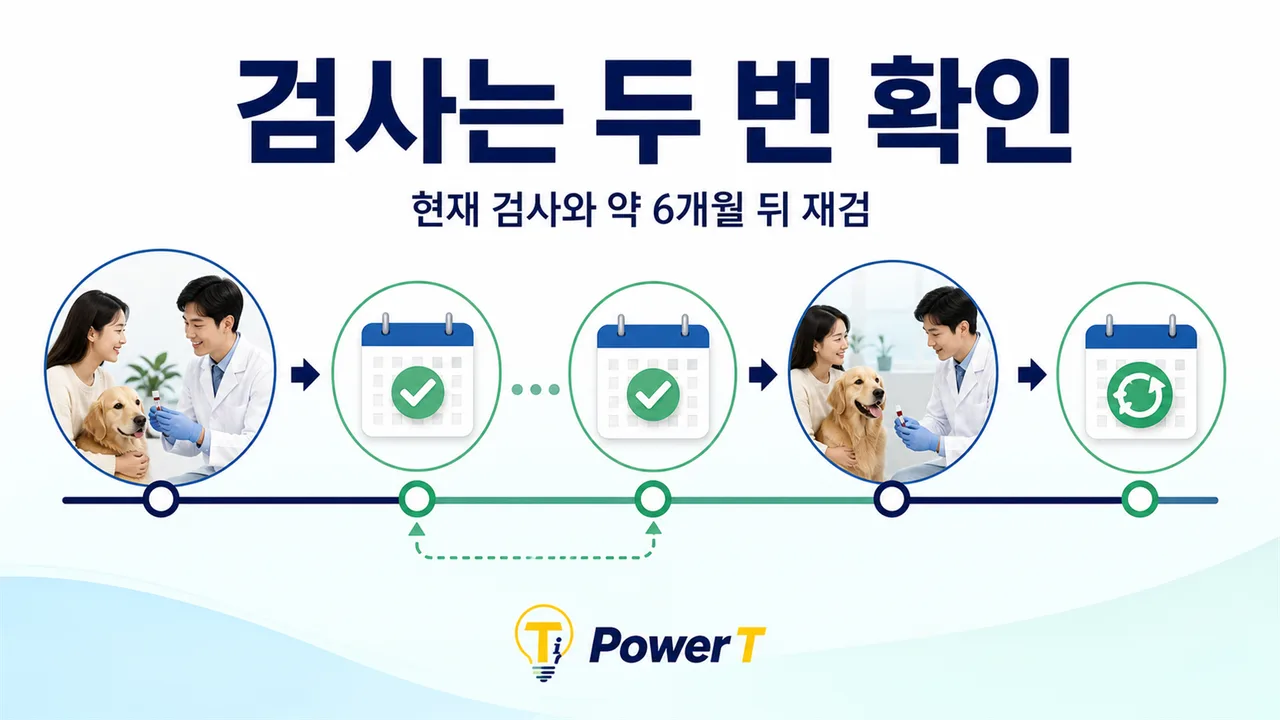심장사상충 예방약 누락 후 검사 일정