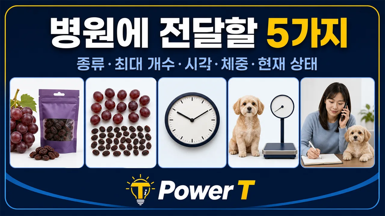 강아지 포도 섭취 병원 전달 정보