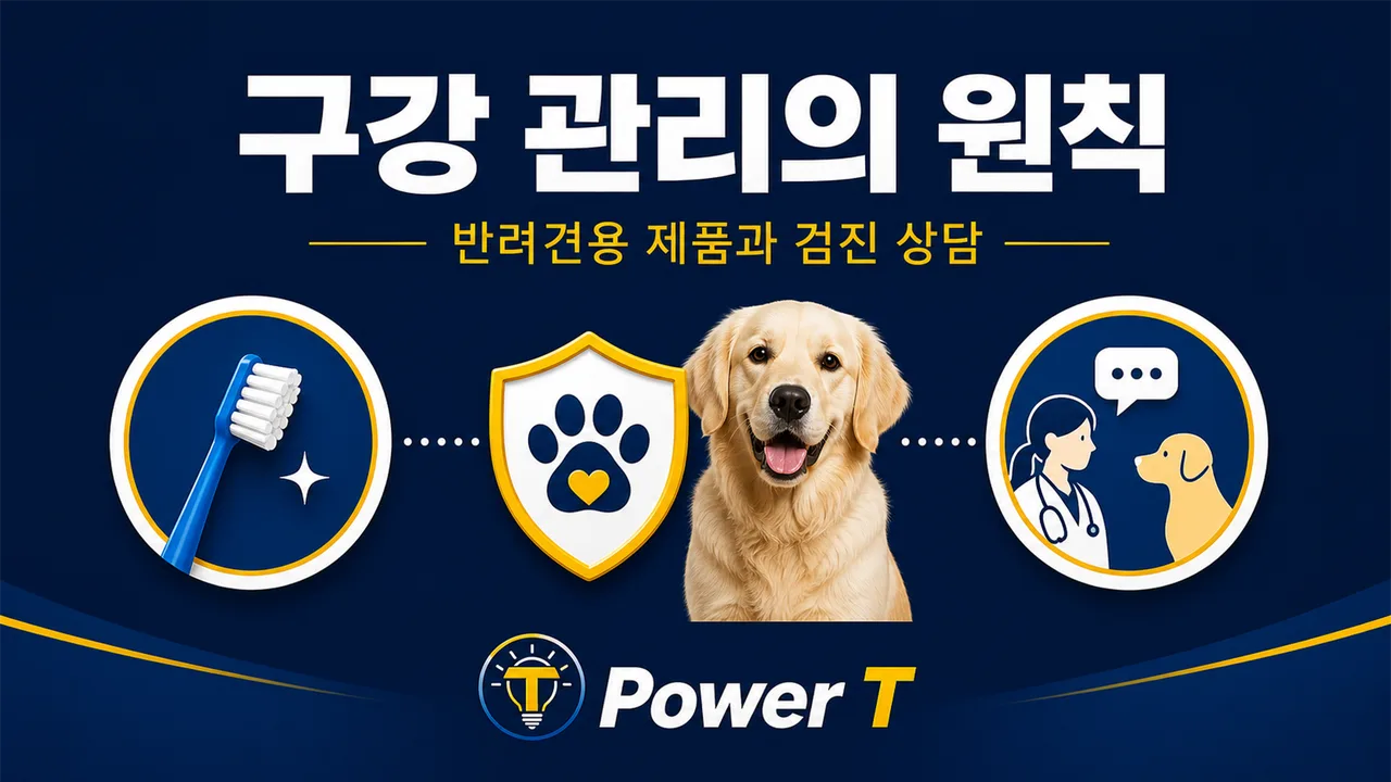 강아지 구강 관리와 치과 검진