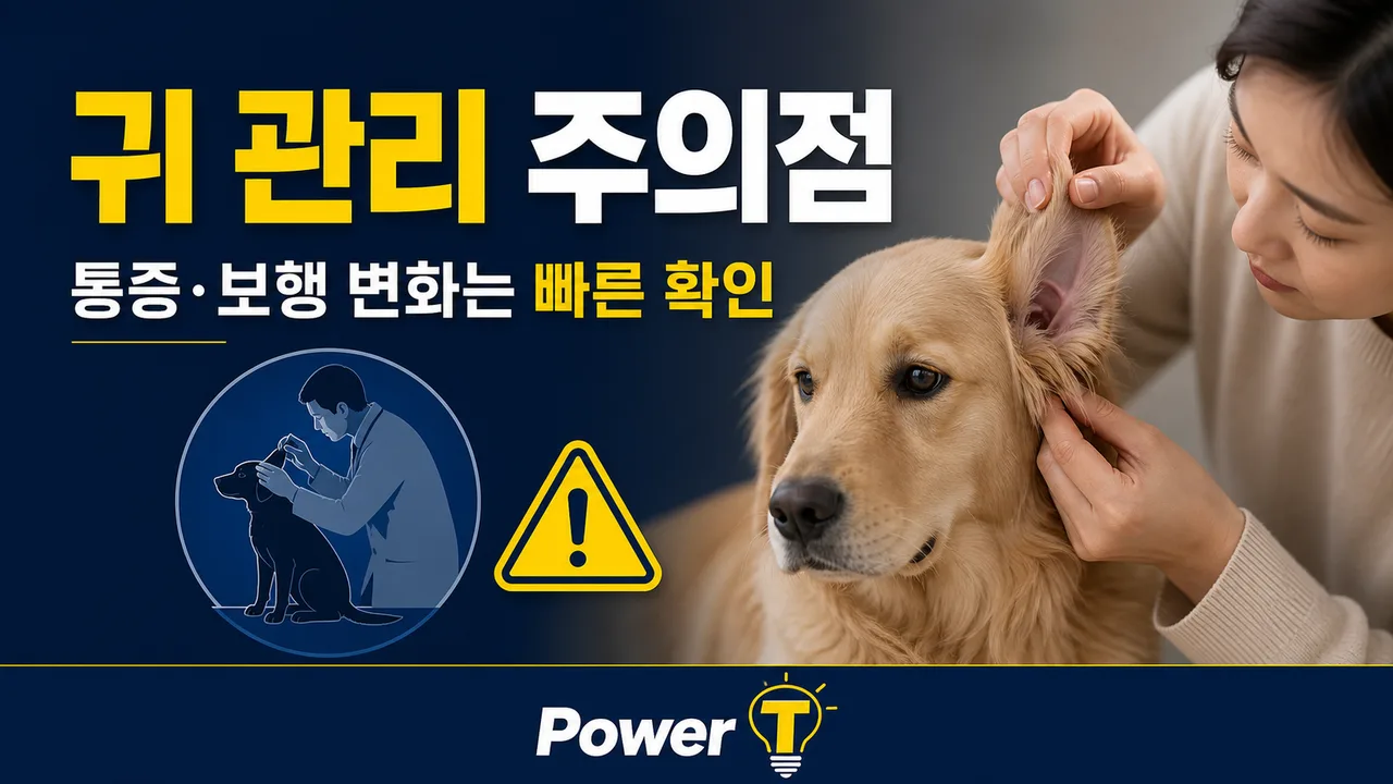 강아지 귀 관리 시 피해야 할 행동과 진료 신호