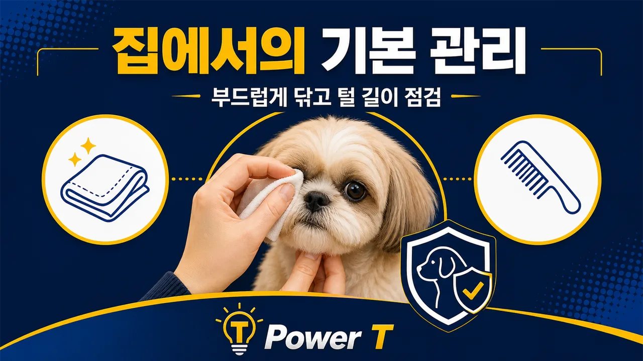 강아지 눈 주변 기본 관리