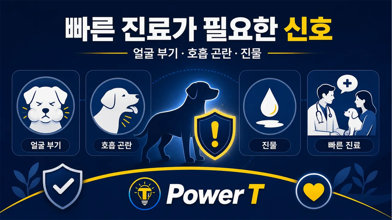 강아지 피부 가려움으로 빠른 진료가 필요한 신호