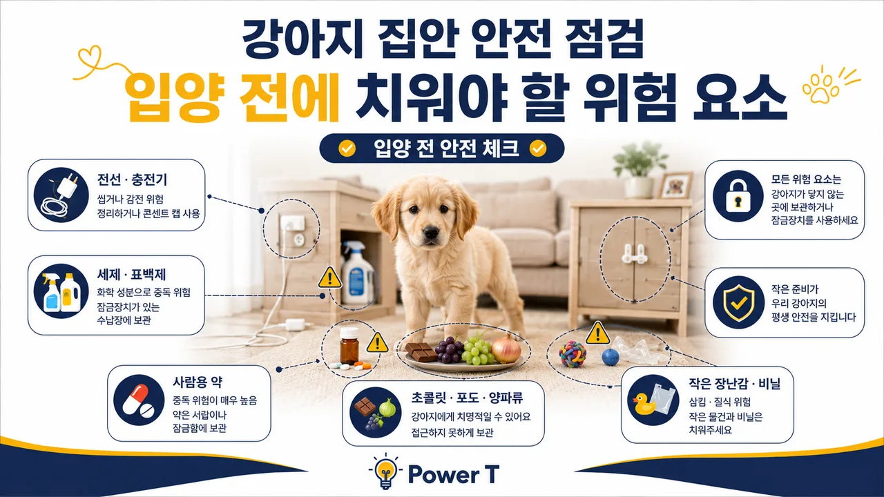 강아지 집안 안전을 위해 전선과 위험물을 정리한 실내