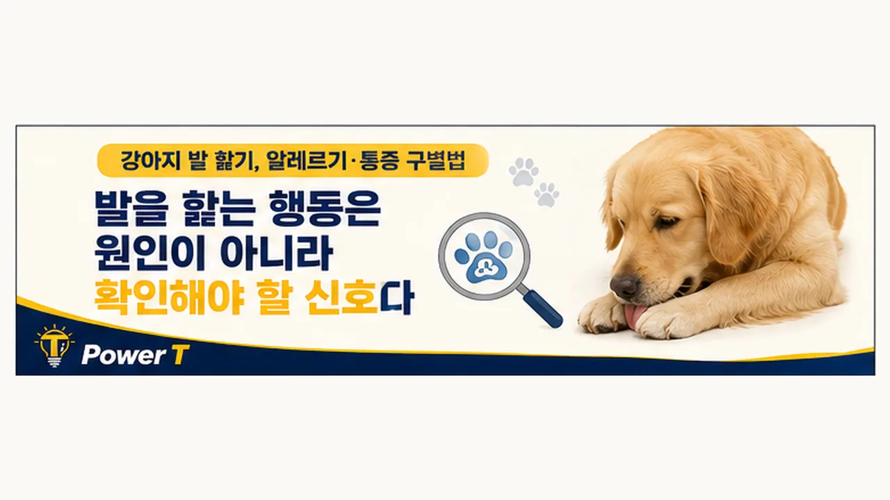 강아지 발 핥기 원인과 점검법