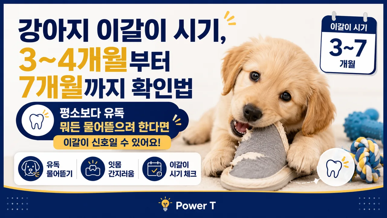 강아지 이갈이 시기와 치아 확인법