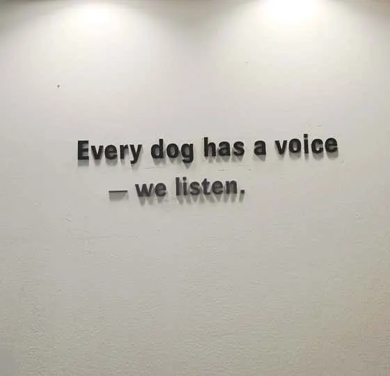 Every dog has a voice we listen 개소리애견유치원