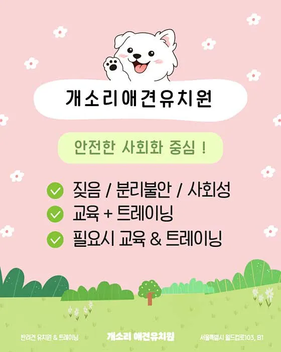 마포구 개소리애견유치원 프로그램 안내