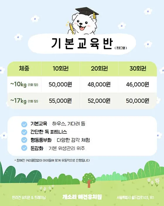 개소리애견유치원 기본교육반 비용과 내용
