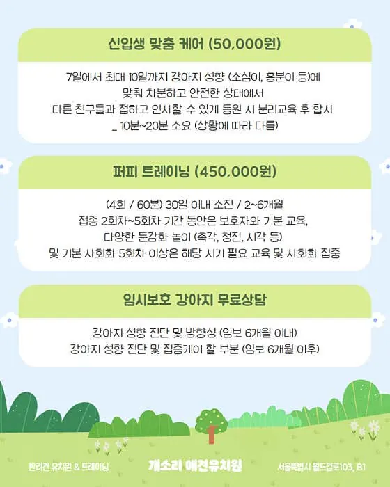 개소리애견유치원 신입생 맞춤케어 안내