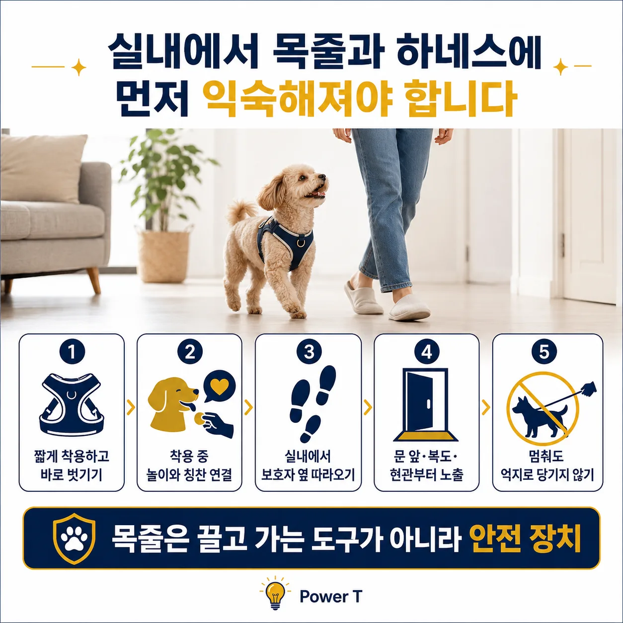 강아지 첫 산책 전 실내에서 목줄 적응을 연습하는 모습