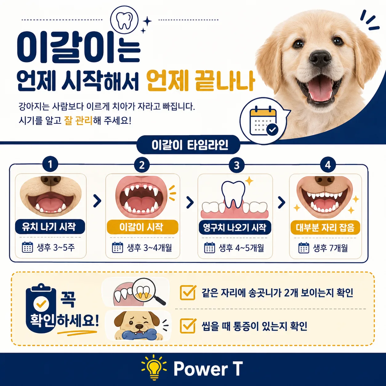 강아지 잔존 유치와 이갈이 점검