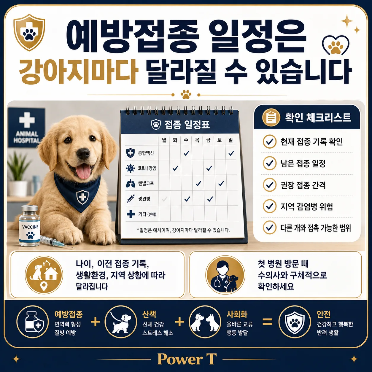 강아지 예방접종 전 산책 가능 여부를 기록으로 확인하는 모습