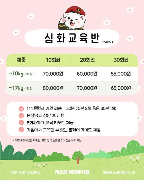 개소리애견유치원 심화교육반 비용과 내용