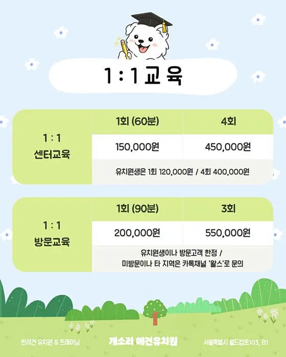 마포구 반려견 1대1 센터교육과 방문교육