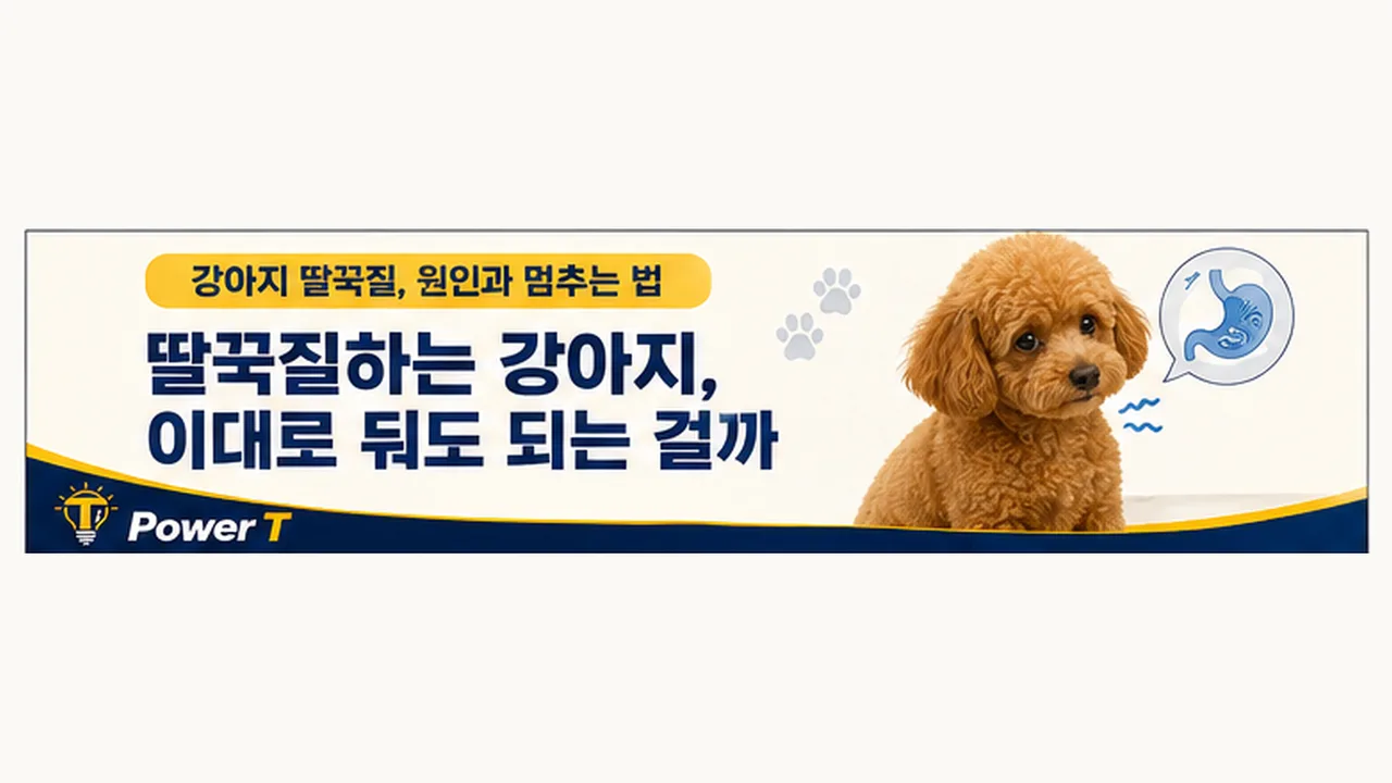 강아지 딸꾹질과 호흡 이상 구별