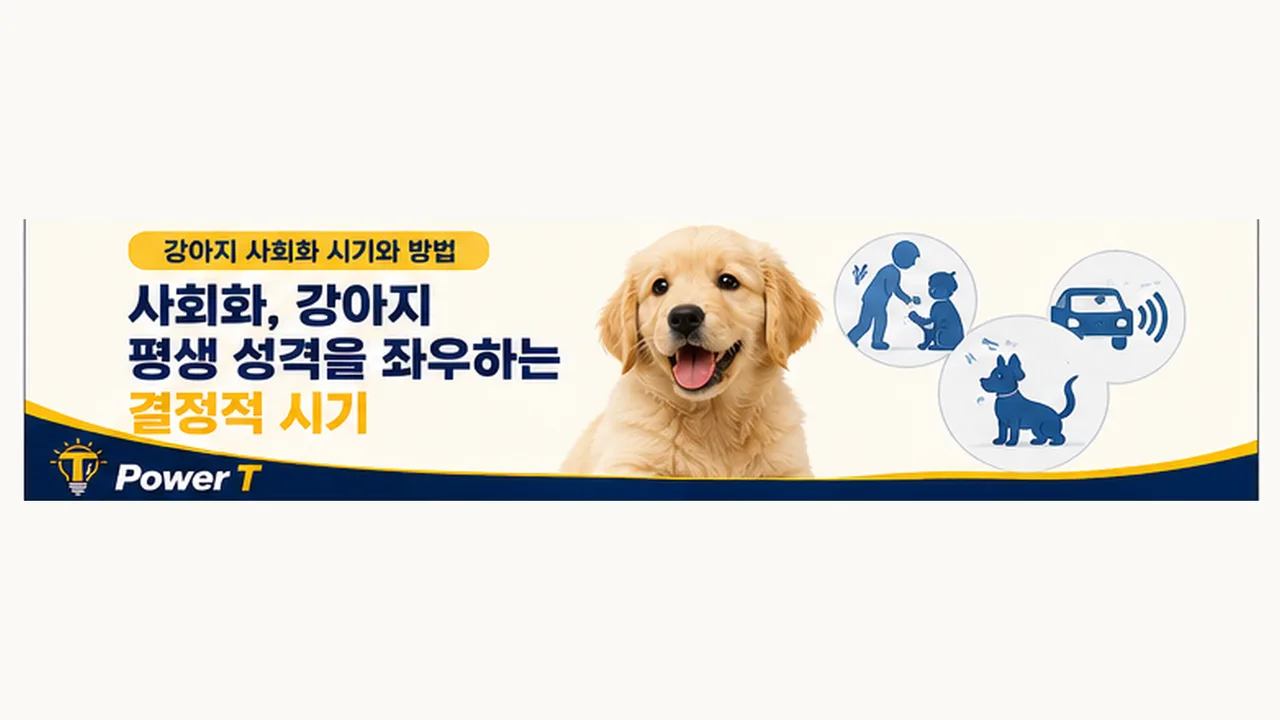 예방접종 전 강아지 사회화 방법